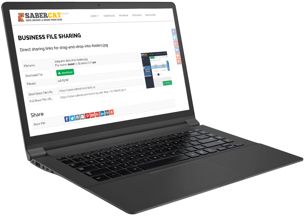 SaberCatHost File Sharing Page Laptop